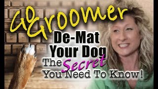 DeMat your DogThe Secret you need to know [upl. by Anitsirhc]