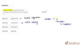 Active inrolling of endodermal and mesodermal cells into interior of embryo is  12  HUMAN REP [upl. by Hal989]