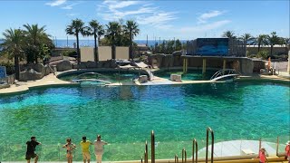 Une journée à Marineland  Antibes  Côte d’Azur [upl. by Llertnek725]