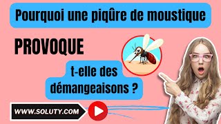 MOUSTIQUE  Pourquoi une piqûre de moustique provoque telle des démangeaisons [upl. by Blumenfeld657]