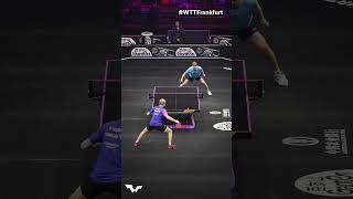 Slick moves by the new World No4 🌟 WTTFrankfurt TableTennis [upl. by Inimod]