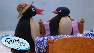 Pingu and Pinga Dont Want to Go to Bed  Pingu Official  1 Hour  Cartoons for Kids [upl. by Nyrraf]