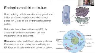 Cellens struktur [upl. by Htiaf]