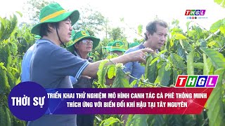 Triển khai thử nghiệm mô hình Canh tác cà phê thông minh thích ứng với BĐKH tại Tây Nguyên [upl. by Eceinart]