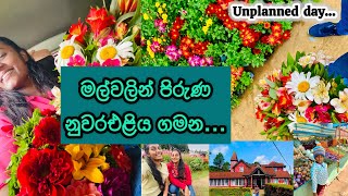 සීතල නුවරඑළියෙ සීතල අඩු දවසක්…🤍💗Day in Fav place🥰 travelvlognuwaraeliyafamidaysfamily [upl. by Sitruk80]