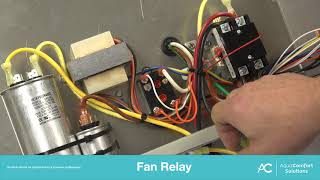 fan relay [upl. by Akerley]