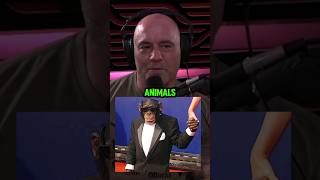 Why do Chimps attack People JRE podcast animals story viralvideo [upl. by Hogue397]