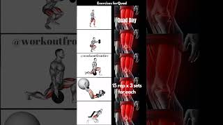 Quads Workout Day 🔥Today’s all about building powerful quads [upl. by Noled]