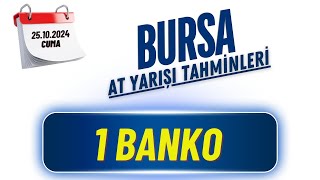 25 Ekim 2024 Cuma BURSA At Yarışı Tahminleri [upl. by Hsivat654]