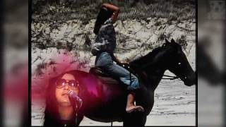 Richard Clapton  Capricorn Dancer [upl. by Aerbma]