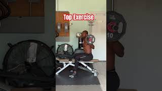 The Best Exercises for Lower Back Strength [upl. by Harol592]