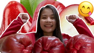 GIANT ROSE APPLE MUKBANG  ASMR MACOPA FRUITS [upl. by Martreb]