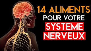 Top 14 MEILLEURS Aliments pour Votre Système Nerveux Neuropathie [upl. by Zitah]