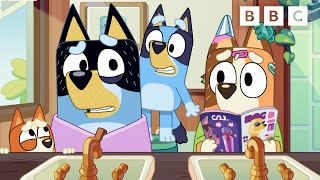 Bingo and Bluey Play Hairdressers  CBeebies [upl. by Taub223]