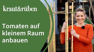 Tomaten pflanzen auf kleinem Raum  Rankhilfe selber bauen [upl. by Hoang]