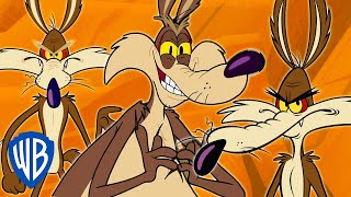 Looney Tunes  Wile E Coyote Genius Extraordinaire  30 Minutes [upl. by Sherlocke383]