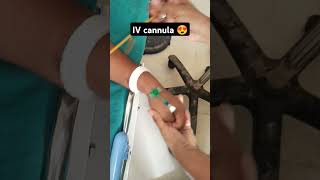 IV cannula 😍😍😍😍😍😍😍😍😍ivcannula shortvideo short shorts nursingstudent nurshing cannula [upl. by Ramgad]