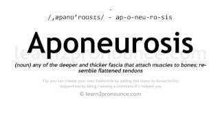 Pronunciation of Aponeurosis  Definition of Aponeurosis [upl. by Blader]