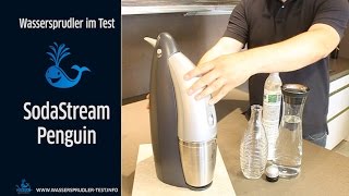 SodaStream Penguin Bedienung und ausführlicher Test des Wassersprudlers [upl. by Namhcan]