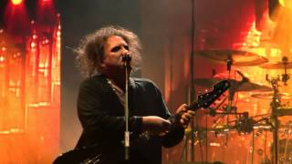 Charlotte Sometimes  The Cure  Bologna Unipol Arena 29102016 [upl. by Magel63]