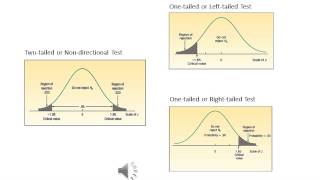 Business Statistics Lesson 10 One Sample Test of Hypothesis [upl. by Kelda]