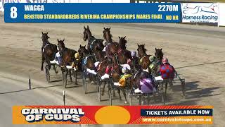 2024 Riverina Championship Mares Final [upl. by Edric]