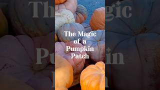 Pumpkin Patch Magic [upl. by Baxter]