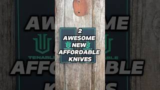 2 Awesome New Knife Releases edc shorts blade knife everydaycarry [upl. by Aniuqaoj373]