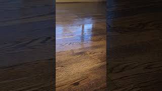 hardwoodflooring construction akron ohio remodel [upl. by Aicilyt]