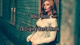 Abeja Reina letra  La Original Banda El Limón [upl. by Adina]