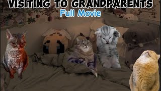 Visiting To Grandparents  The Cat Memes Compilation [upl. by Animor566]