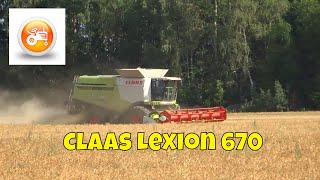 Harvest 2018  Claas Lexion 670 combine harvesting peas [upl. by Chilson875]