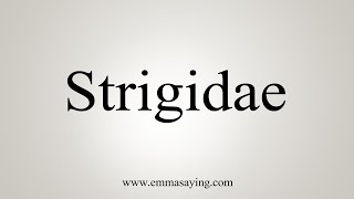 How To Say Strigidae [upl. by Esiuolyram702]