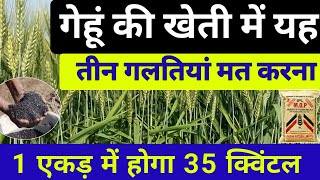 गेहूं की खेती में यह 3 गलतियां मत करना आसानी से होगा 1 एकड़ में 35 की पैदावार ।। Gehu ki kheti [upl. by Akers]