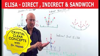 Elisa Test  Direct Indirect amp Sandwich 🩸 [upl. by Sidoon584]