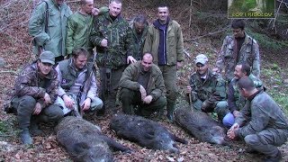 Lov i ribolov  Nacionalni park Sutjeska  Lov divlje svinje  Wild boar hunting [upl. by Ryun376]