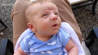 Bad lip reading Adorable newborn baby [upl. by Obie658]