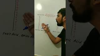 Overview Of Glycogenesis Glycogenolysis Glyconeogenesis Gluconeogenesis biochemistry dadhichsir [upl. by Adnirual235]