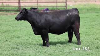 Black Hereford Ranch 253 [upl. by Dnomyar296]