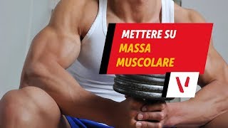 Mettere su massa muscolare [upl. by Ahsenek733]