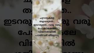 vijanathayil music lyrics song youtubeshorts youtubefeeds shorts [upl. by Merton983]