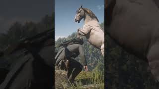 RDR2  Special Andalusian Horse at Annesburg  Raonoke Ridge Subscribe for Daily Content [upl. by Edmanda]