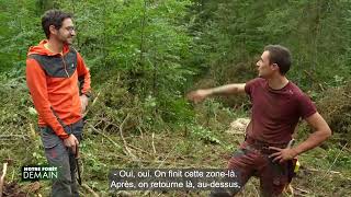 🌳NFD Extrait Focus  Lutter contre les scolytes Emission 6 [upl. by Sanjiv]