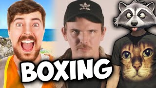 Team Seas iDubbbz vs RiceGum Boxing Match Logan Paul Gets Mad Keemstar Retires MrBeast [upl. by Enram536]