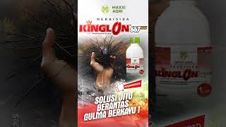 maxxiagri  herbisida KINGLON 667EC SOLUSI JITU BERANTAS GULMA BERKAYU cocok untuk sawit shorts [upl. by Barth581]