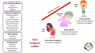 PAIN ANALGESIC LADDER [upl. by Ibloc788]