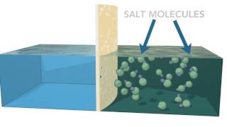 Reverse Osmosis Process [upl. by Nohsav]