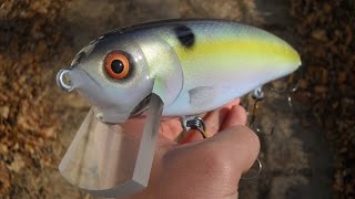 Making a Big Shad JerkBait [upl. by Bahr]