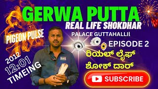 GERWA PUTTA PALACE GUTTAHALLI  REAL LIFE SHOKDHAR  TIMING 121 HRS PIGEON PULSE EPISODE 2 pigeon [upl. by Sellihca515]