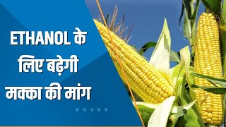 Commodities Live Ethanol के लिए बढ़ेगी मक्का की मांग 5 सालों में 45 करोड़ टन बढ़ाना होगा उत्पादन [upl. by Annel]